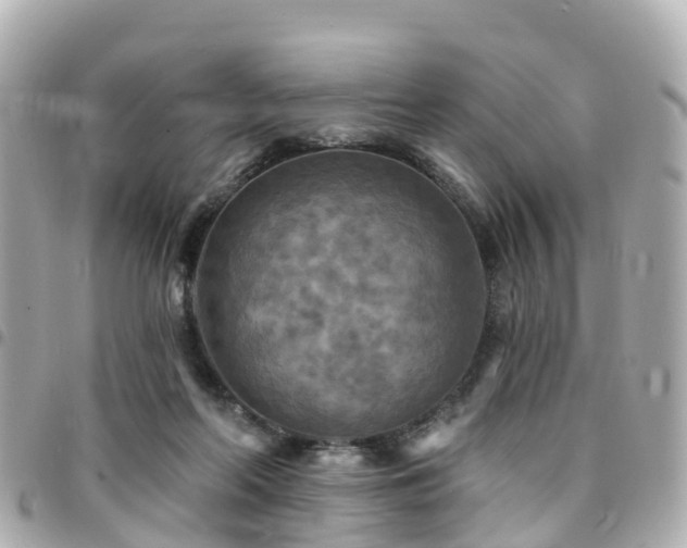 X0000094420214200711081143