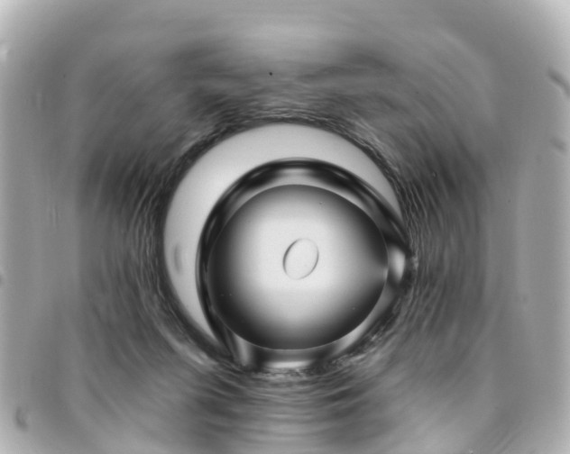 X0000094420215200711081143