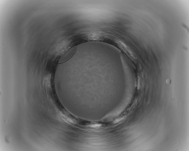 X0000094420217200711081143