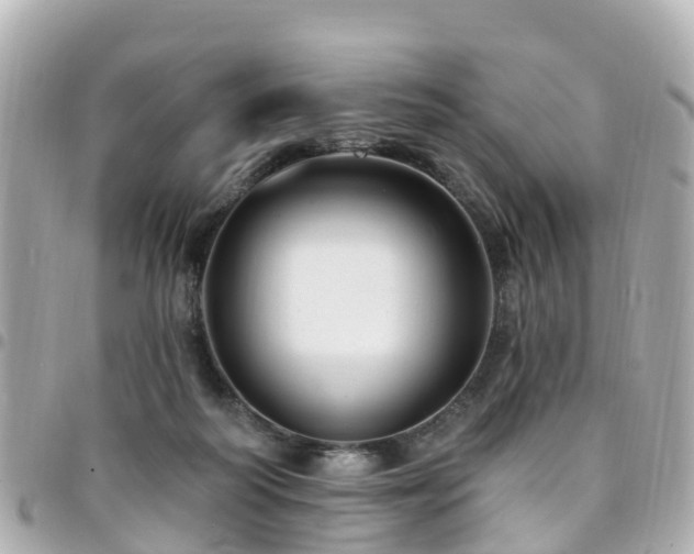 X0000094420218200711081143