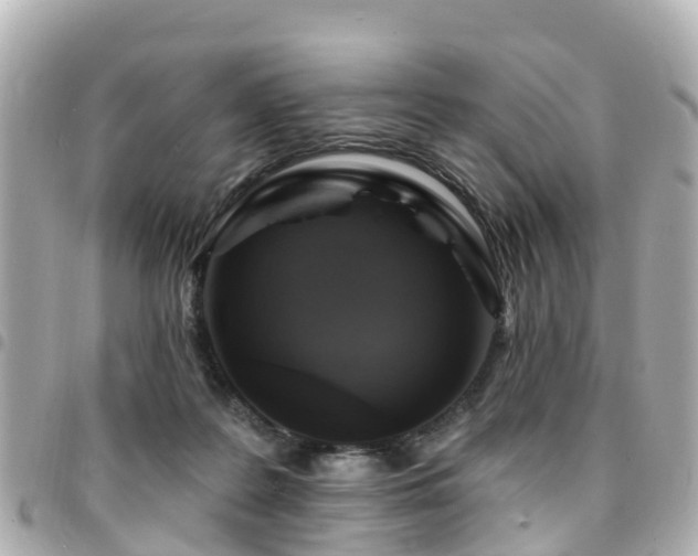 X0000094420219200711081143