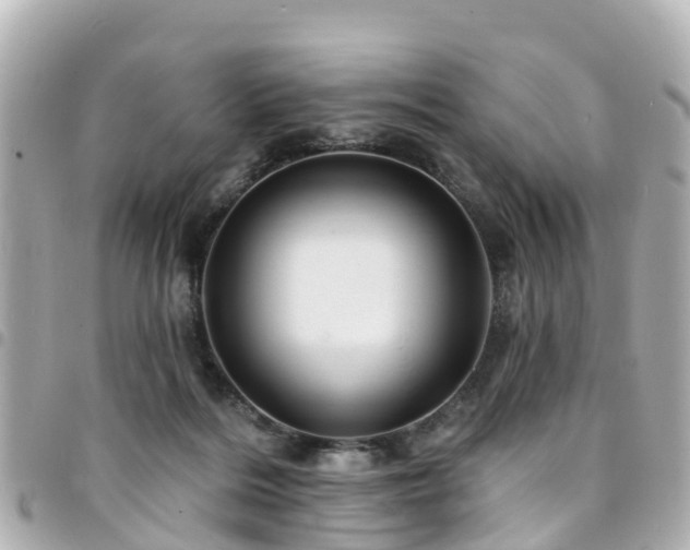 X0000094420220200711081143