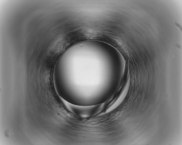 X0000094420221200711081143