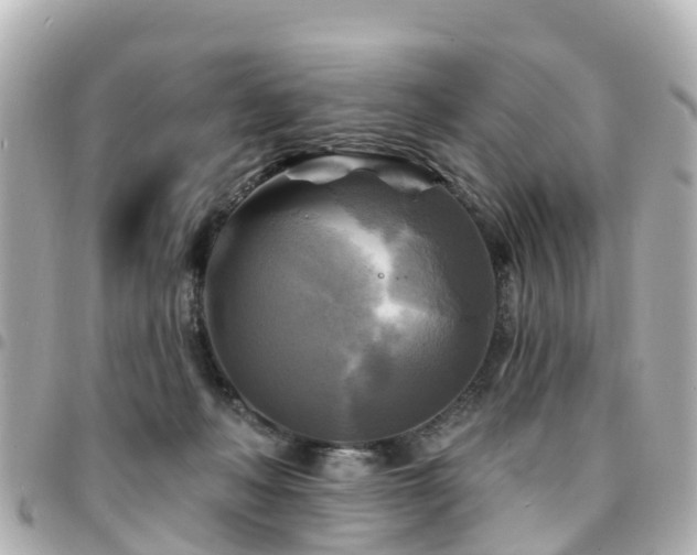 X0000094420222200711081143