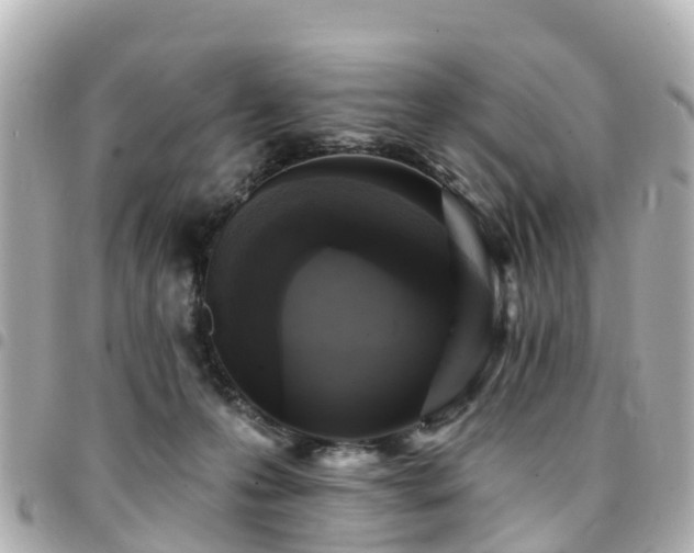 X0000094420223200711081143