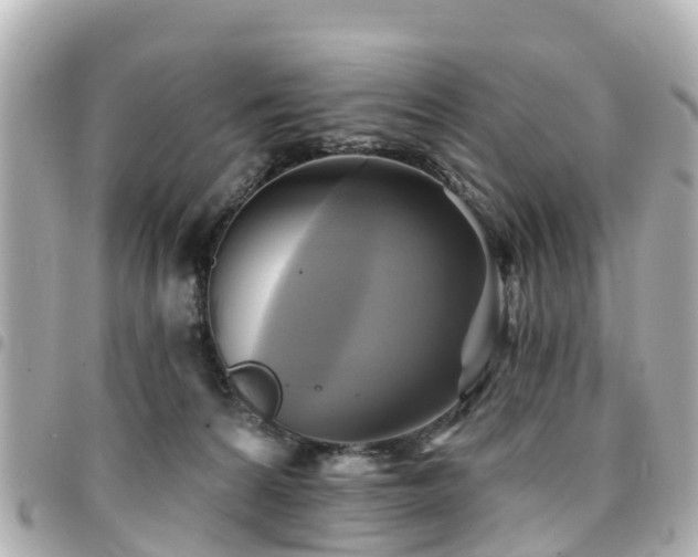 X0000094420224200711081143