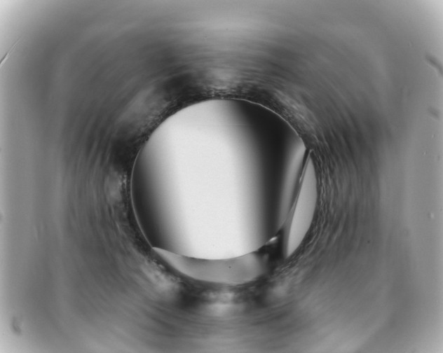 X0000094420225200711081143