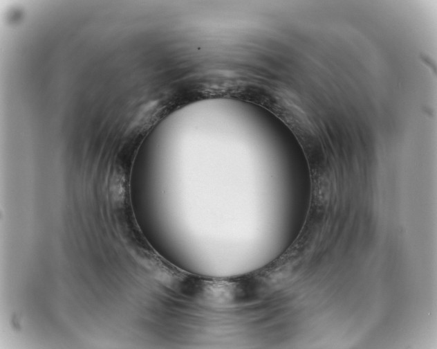 X0000094420226200711081143