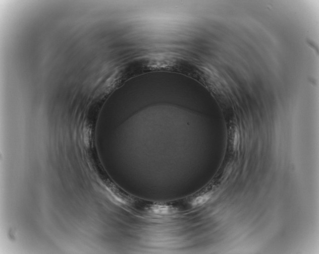 X0000094420227200711081143
