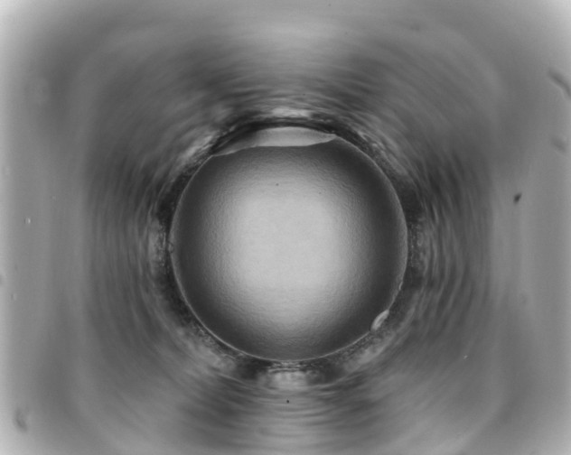 X0000094420228200711081143