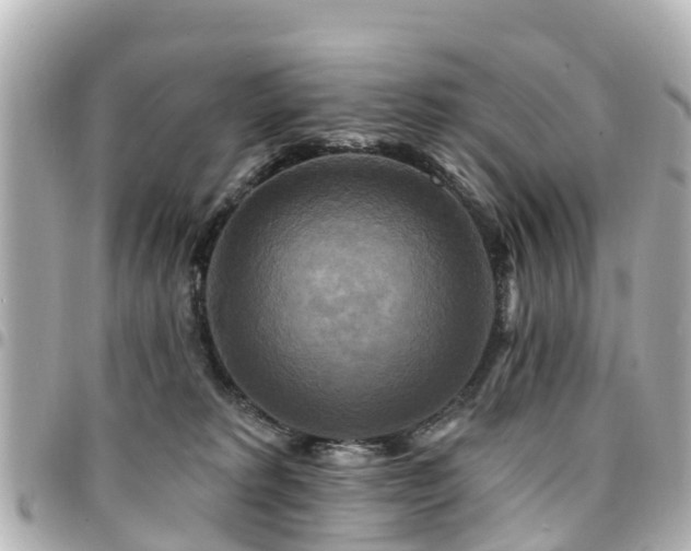 X0000094420229200711081143