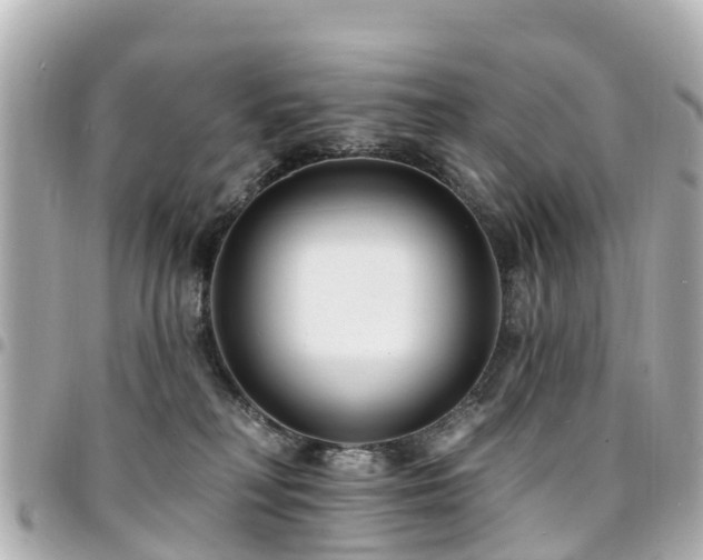 X0000094420230200711081143