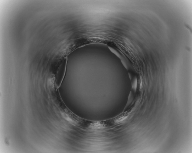 X0000094420231200711081143