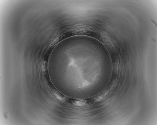 X0000094420232200711081143