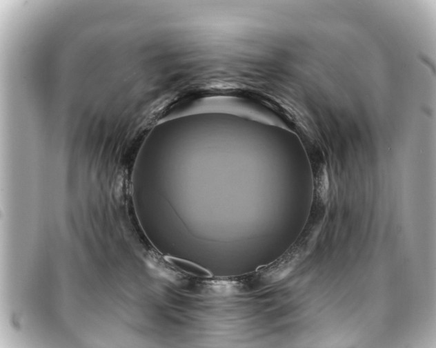 X0000094420233200711081143