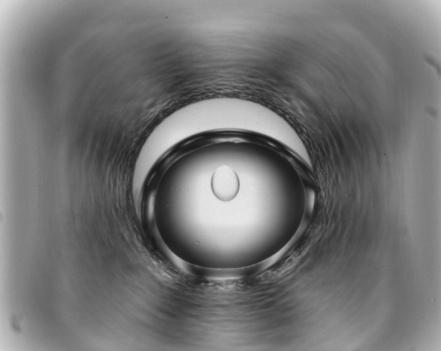 X0000094420235200711081143