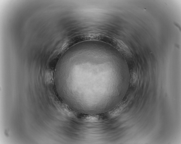 X0000094420236200711081143