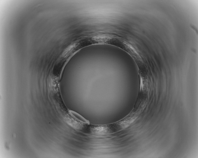X0000094420237200711081143