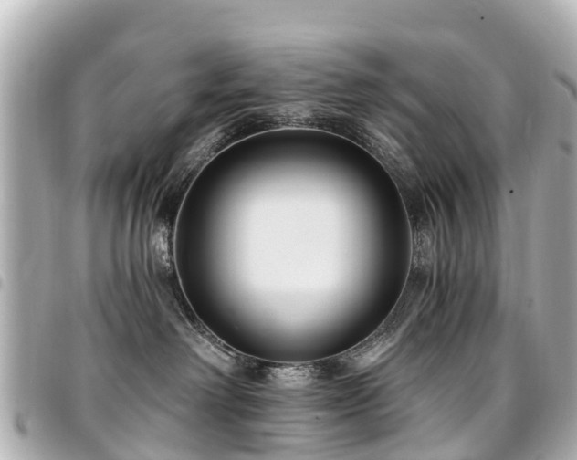 X0000094420238200711081143