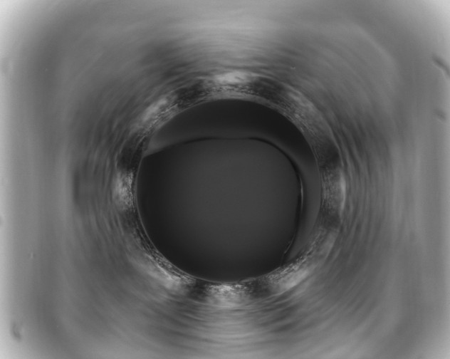 X0000094420239200711081143