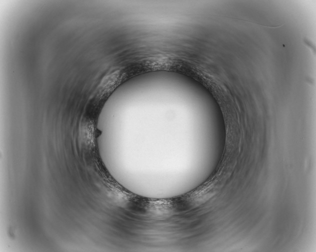 X0000094420240200711081143