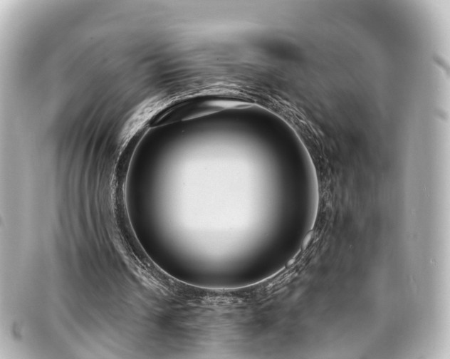 X0000094420242200711081142