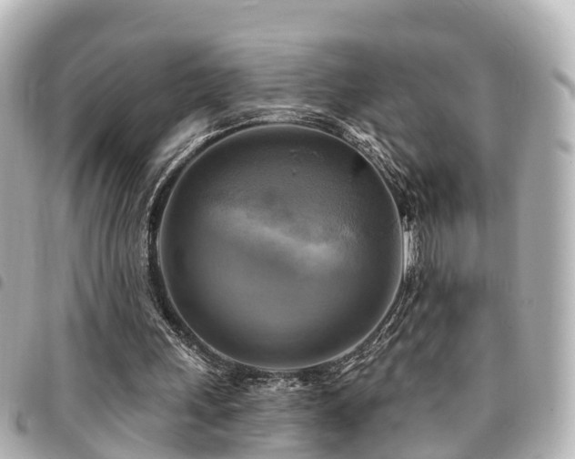 X0000094420243200711081142