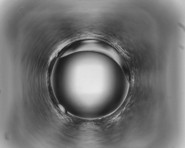 X0000094420244200711081142