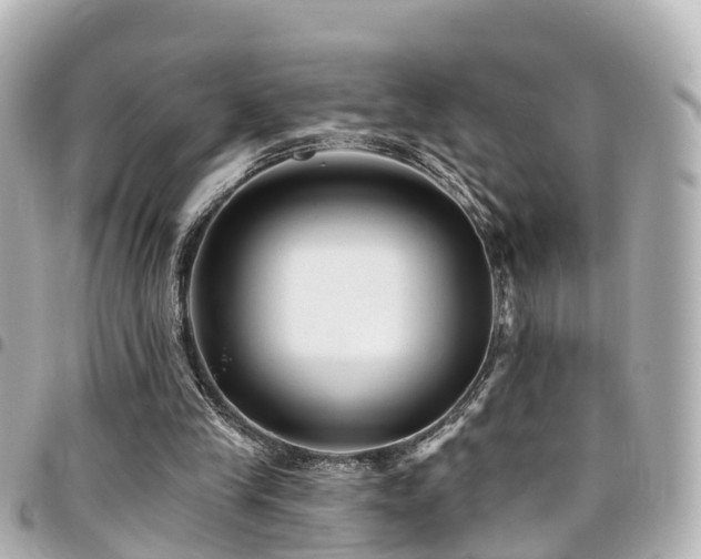 X0000094420245200711081142