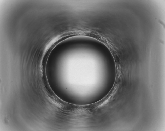 X0000094420246200711081142