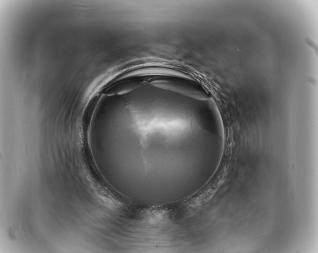 X0000094420247200711081142