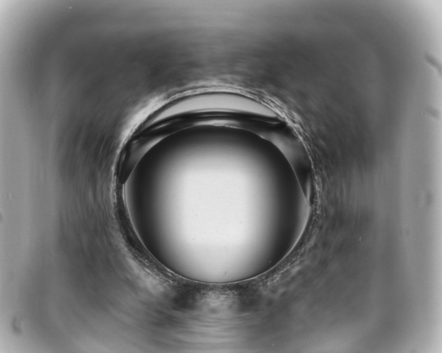 X0000094420248200711081142
