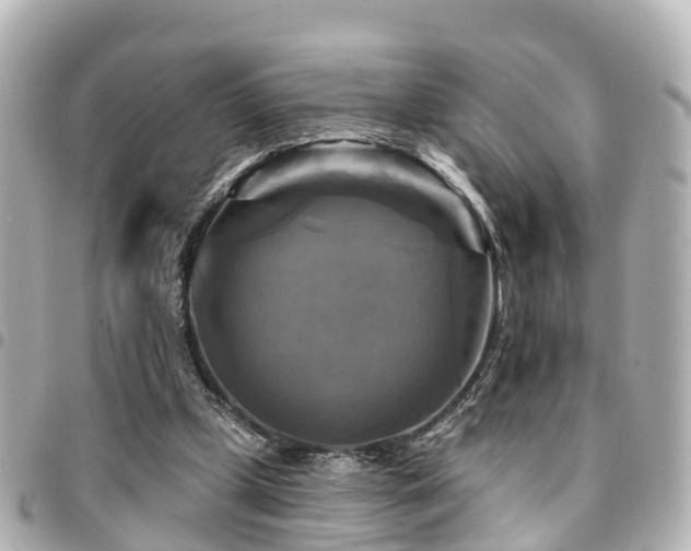 X0000094420249200711081142