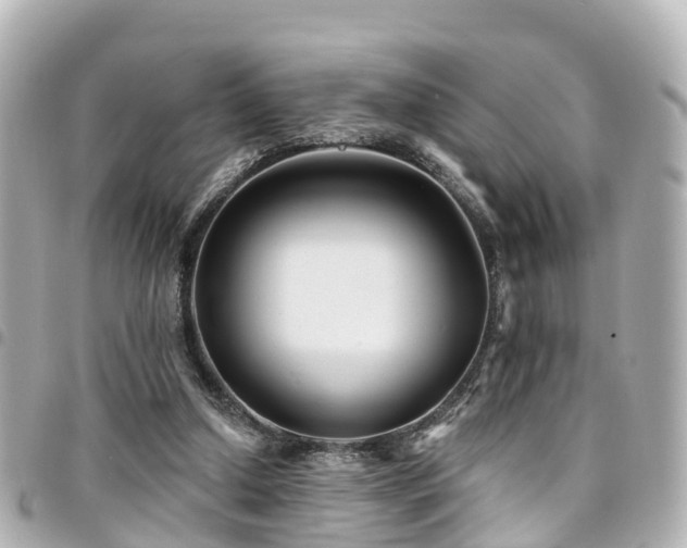 X0000094420250200711081142