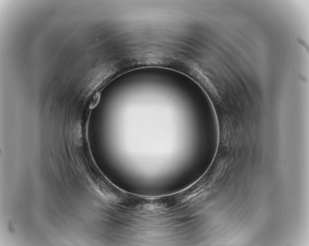 X0000094420251200711081142