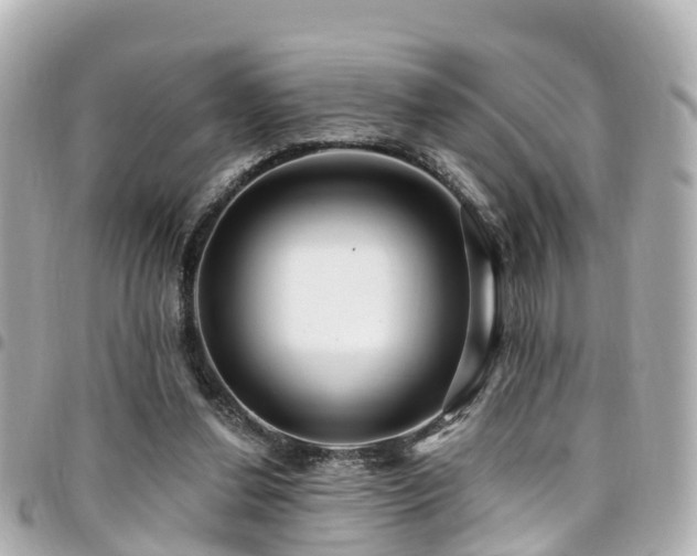 X0000094420252200711081142