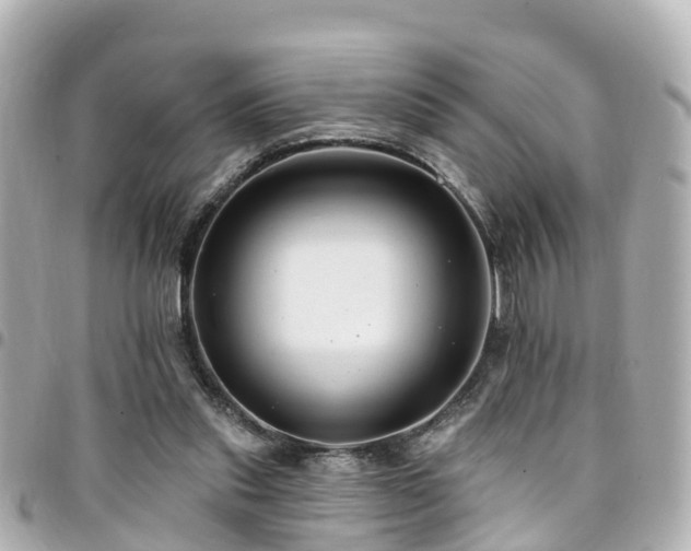 X0000094420253200711081142