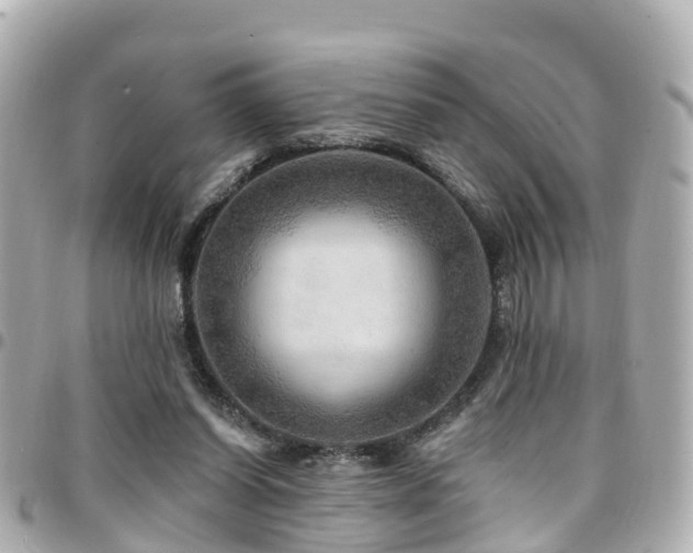 X0000094420254200711081142