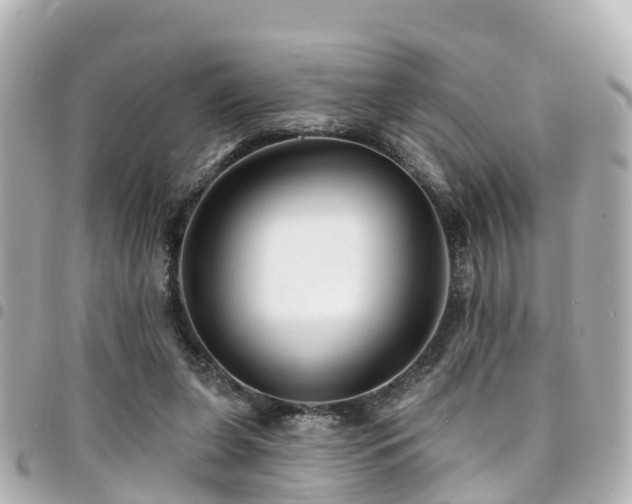 X0000094420255200711081142