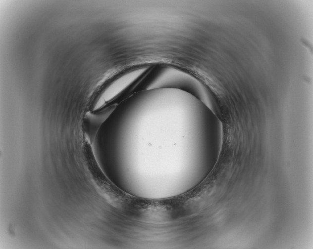 X0000094420256200711081142