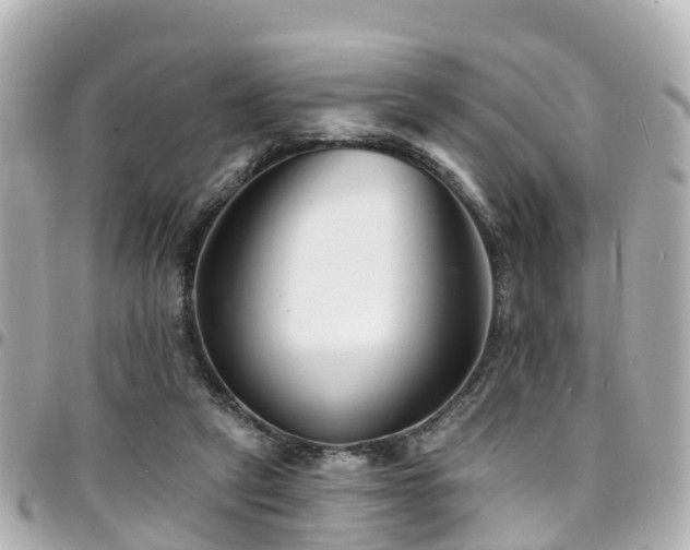 X0000094420257200711081142