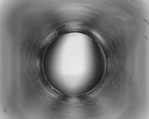 X0000094420258200711081142