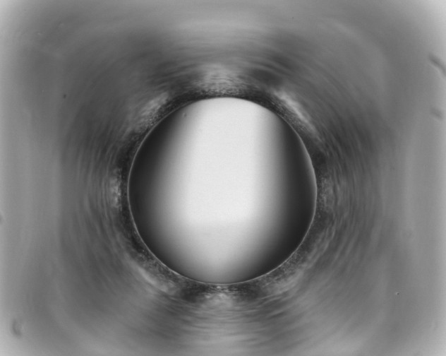 X0000094420259200711081142