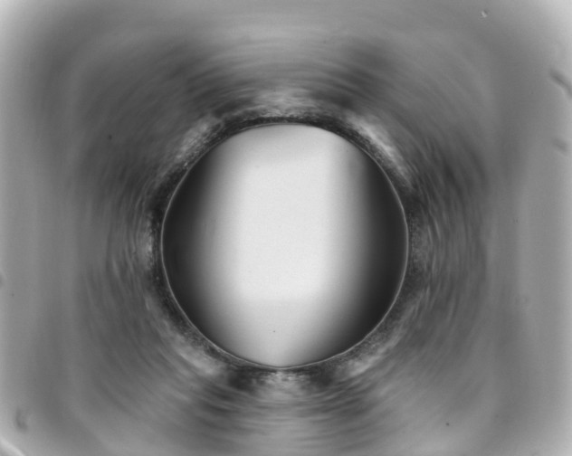 X0000094420261200711081142