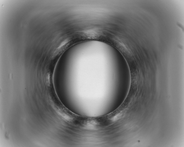 X0000094420262200711081142
