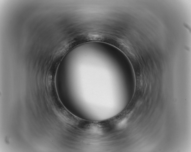 X0000094420263200711081142