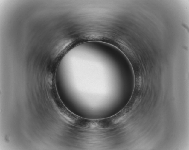 X0000094420264200711081142