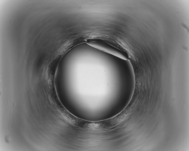 X0000094420265200711081142