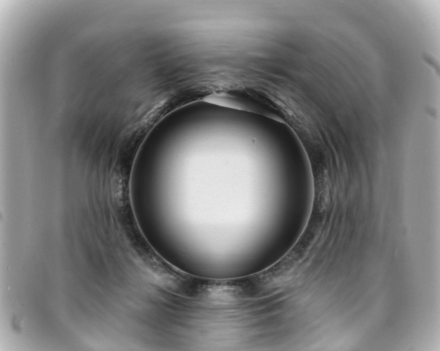 X0000094420268200711081142