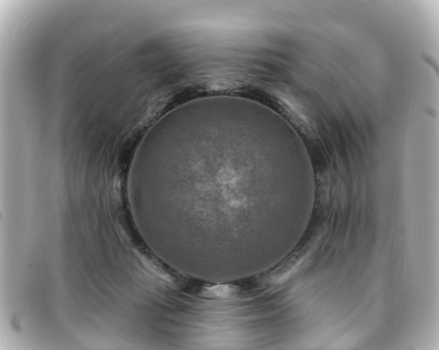 X0000094420269200711081142